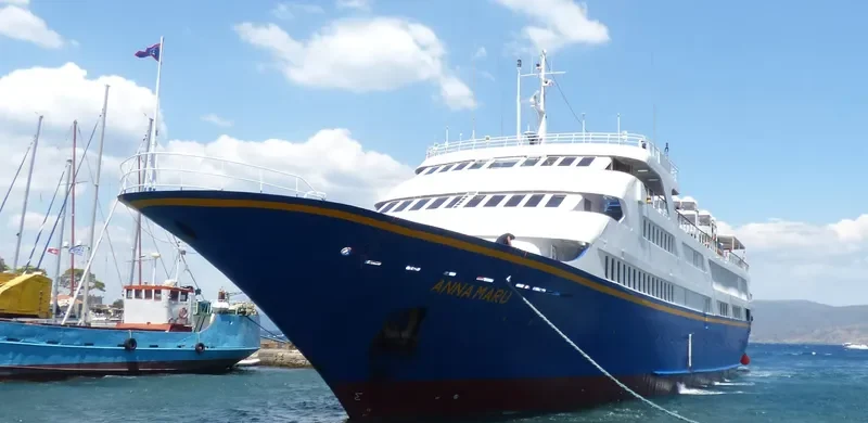ANNA MARU Passenger Ship IMO 7809297 photo 5