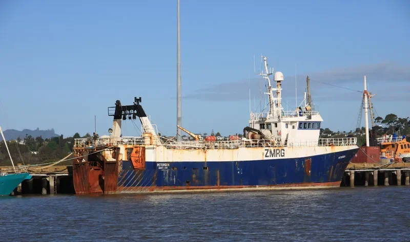 PETERSEN General Cargo IMO 7810193