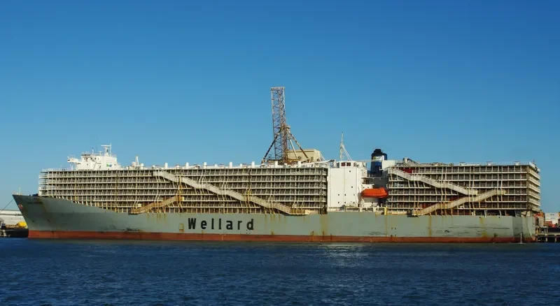 OCEAN SHEARER General Cargo IMO 7810935 photo 8