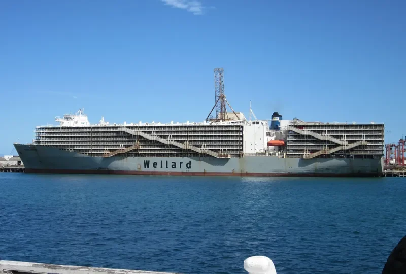 OCEAN SHEARER General Cargo IMO 7810935 photo 9