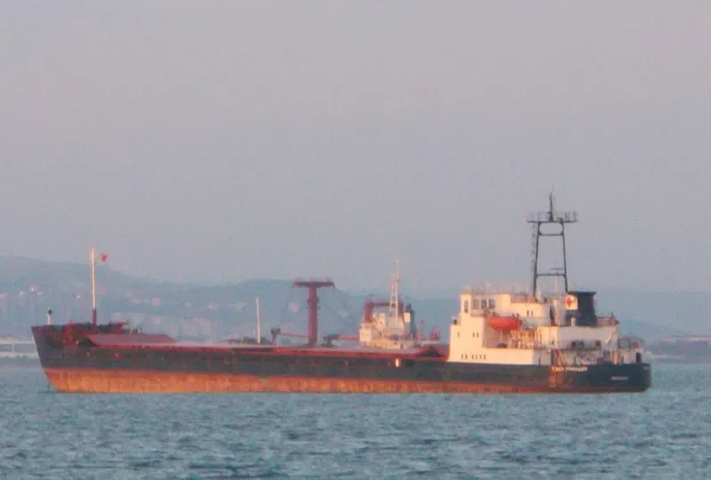 SIBERIN 1 General Cargo IMO 7811020 photo 6
