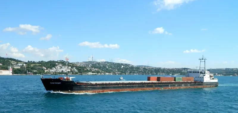 SIBERIN 1 General Cargo IMO 7811020 photo 8