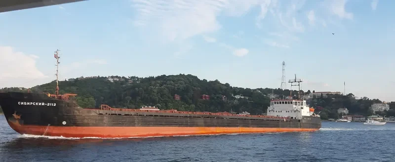 SIBIRSKIY 2112 General Cargo IMO 7811044 photo 8