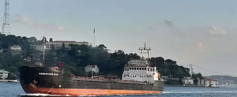 SIBIRSKIY 2112 General Cargo IMO 7811044 photo 9