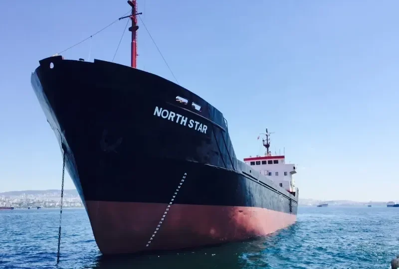 NORTH STAR General Cargo IMO 7811410 photo 2