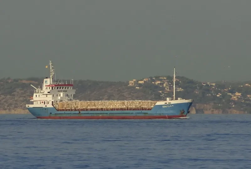 NORTH STAR General Cargo IMO 7811410 photo 5