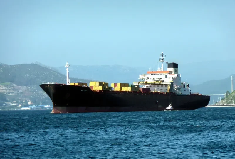 MSC TOGO Container Ship IMO 7811484 photo 5