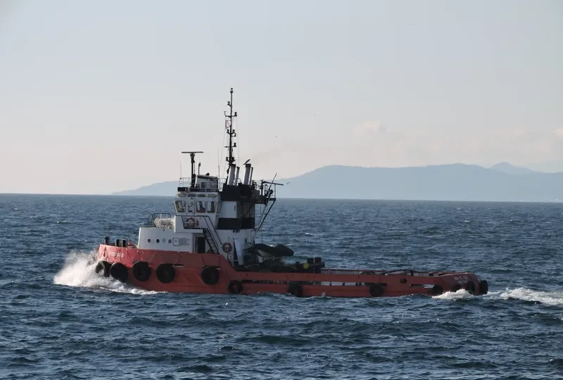 IFESTOS 2 Tug Boat IMO 7811525 photo 4