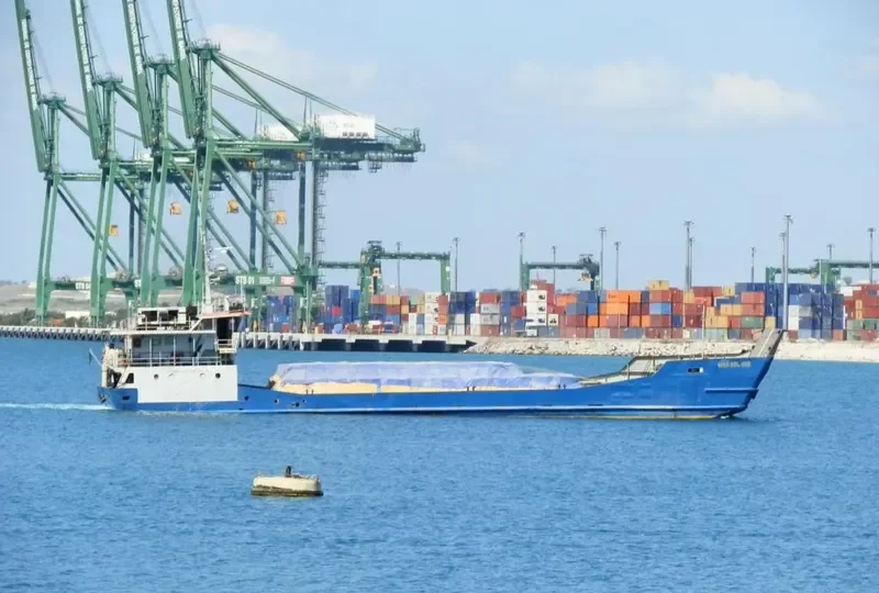 MAR DEL SUR General Cargo IMO 7811549