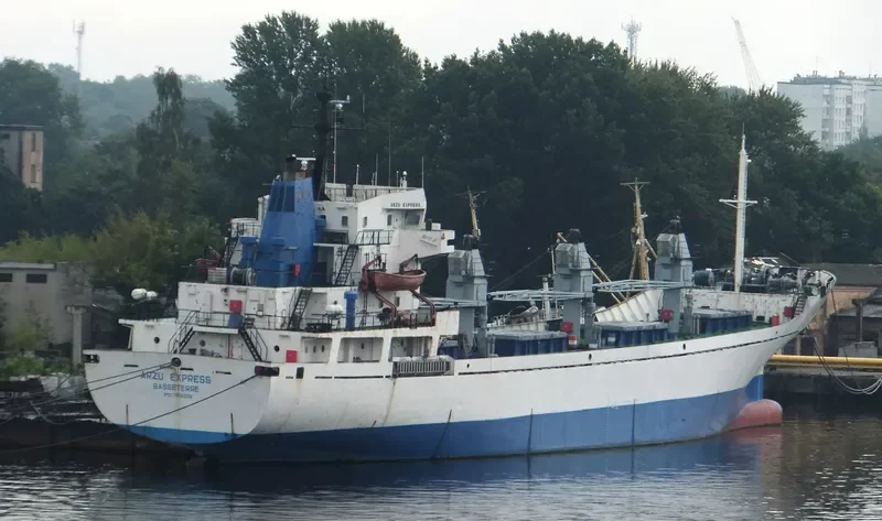 NEVSKIY General Cargo IMO 7812036 photo 3