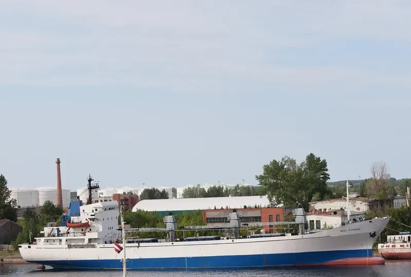 NEVSKIY General Cargo IMO 7812036 photo 9