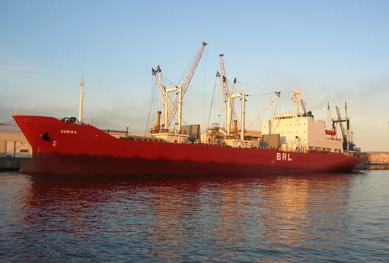 RIKA General Cargo IMO 7812153 photo 2