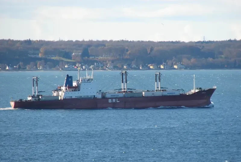 RIKA General Cargo IMO 7812153 photo 6