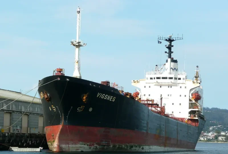 VIGSNES Bulk Carrier IMO 7812220 photo 5