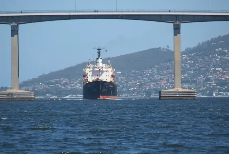 VIGSNES Bulk Carrier IMO 7812220 photo 8