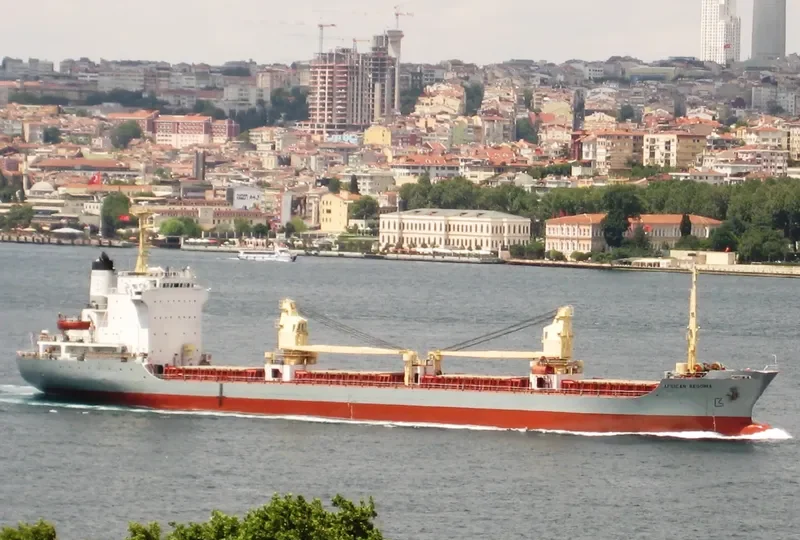 ABDOUL STAR Bulk Carrier IMO 7812464 photo 4