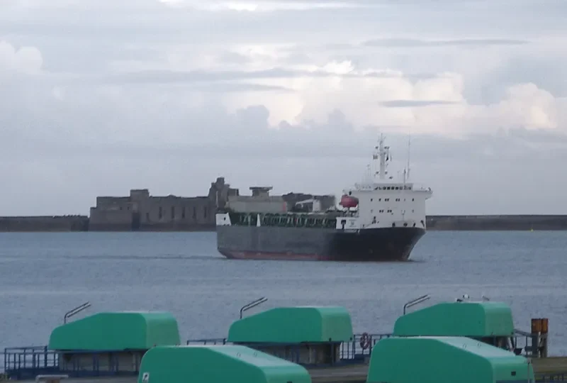 CONDOCK I General Cargo IMO 7812749 photo 4