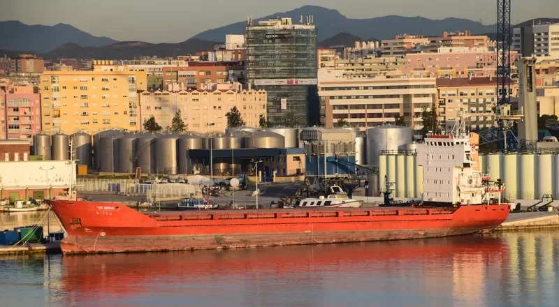 EIDER General Cargo IMO 7812854 photo 4