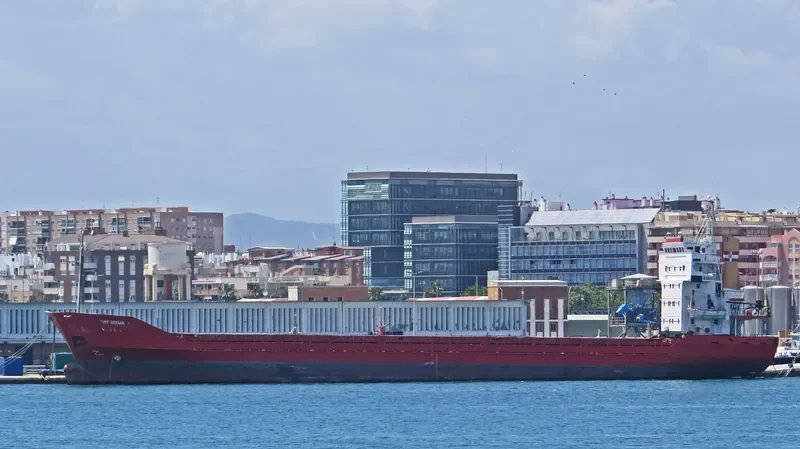 EIDER General Cargo IMO 7812854 photo 7