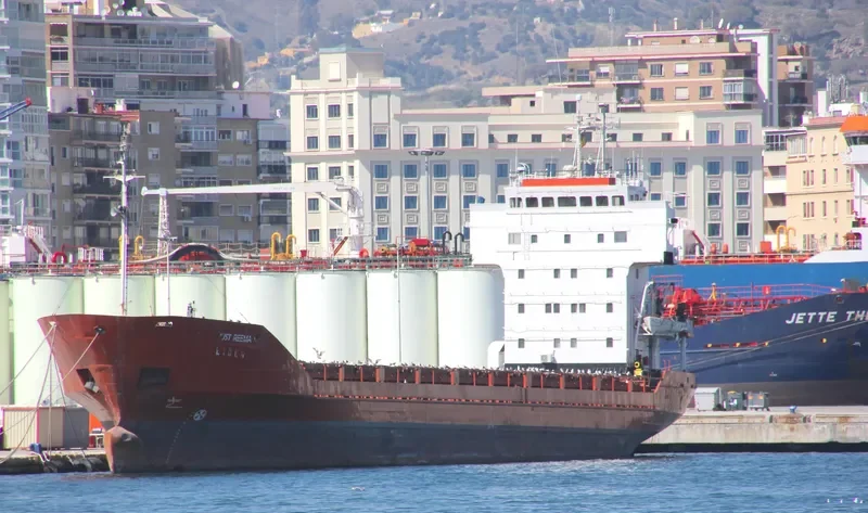 EIDER General Cargo IMO 7812854 photo 8