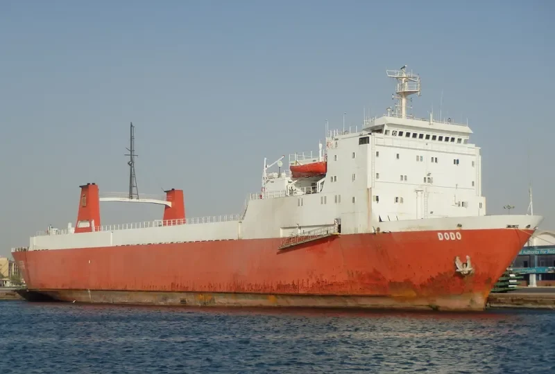 DODO General Cargo IMO 7812957 photo 5