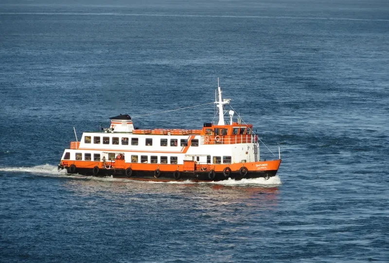 DAFUNDO Passenger Ship IMO 7813212 photo 6