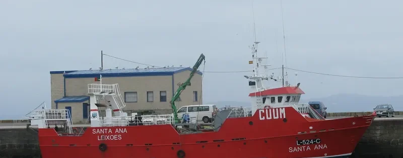 SANTA ANA General Cargo IMO 7813303 photo 8