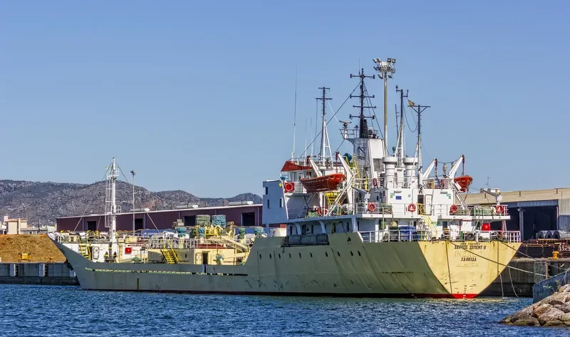 SCII General Cargo IMO 7813561 photo 5