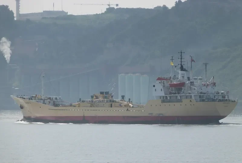 SCII General Cargo IMO 7813561 photo 9