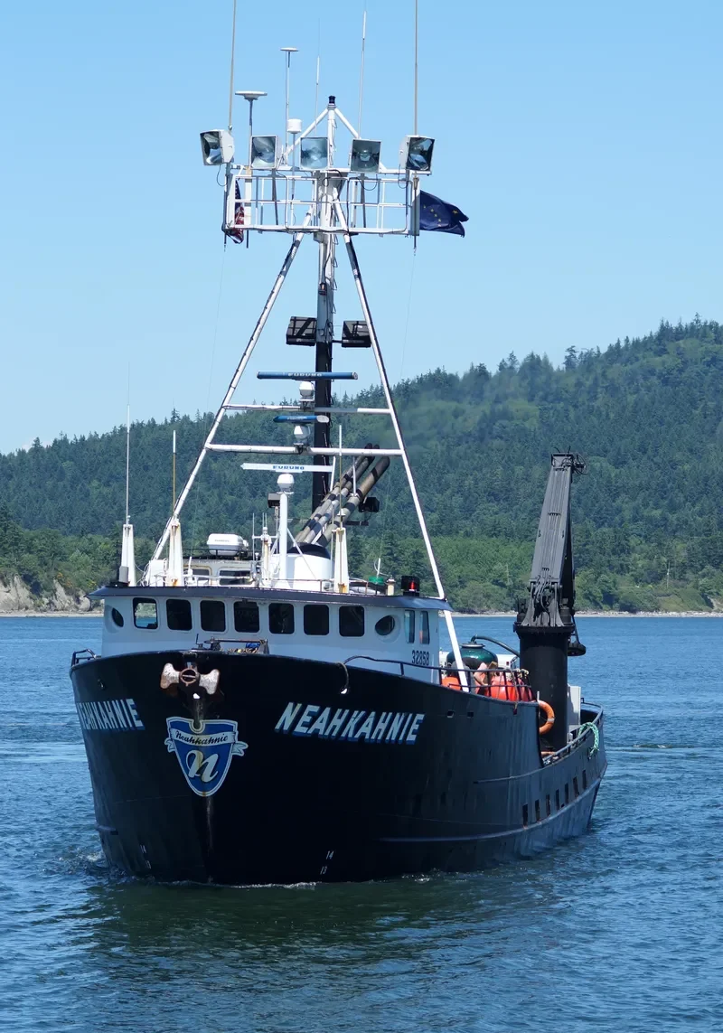 NEAHKAHNIE General Cargo IMO 7813640 photo 2