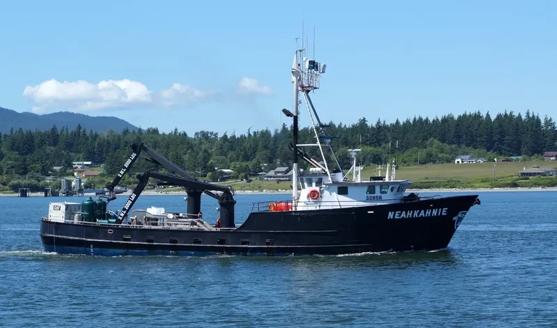 NEAHKAHNIE General Cargo IMO 7813640 photo 3
