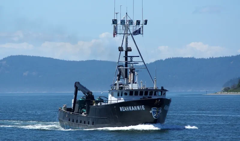 NEAHKAHNIE General Cargo IMO 7813640 photo 4