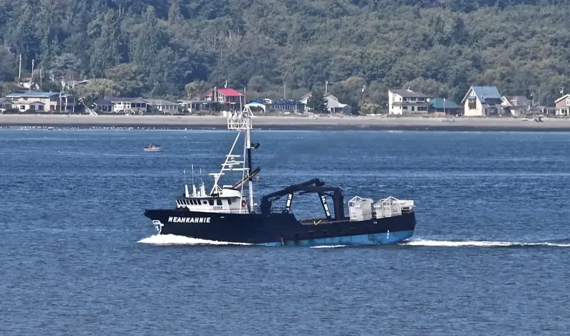 NEAHKAHNIE General Cargo IMO 7813640 photo 5