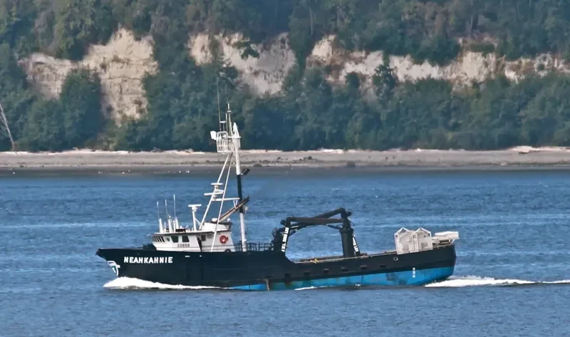 NEAHKAHNIE General Cargo IMO 7813640 photo 6