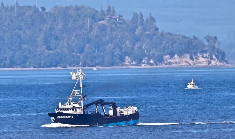 NEAHKAHNIE General Cargo IMO 7813640 photo 7