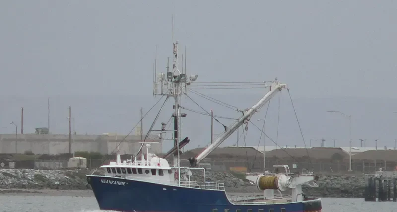 NEAHKAHNIE General Cargo IMO 7813640 photo 8
