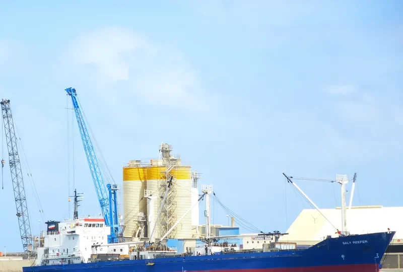 SALY REEFER General Cargo IMO 7813925