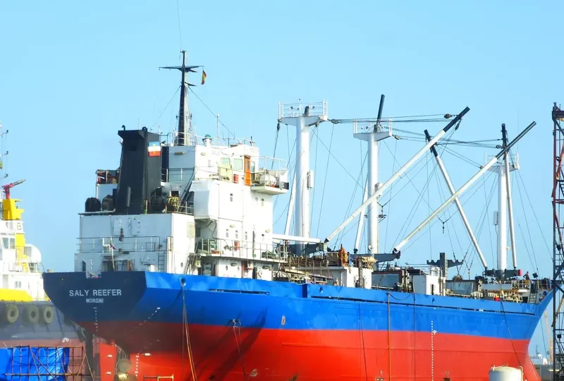 SALY REEFER General Cargo IMO 7813925 photo 2