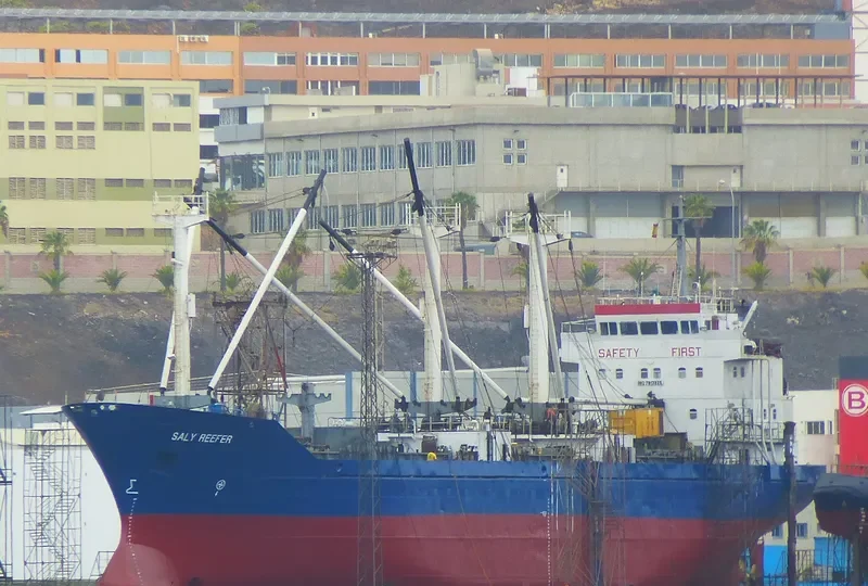 SALY REEFER General Cargo IMO 7813925 photo 3