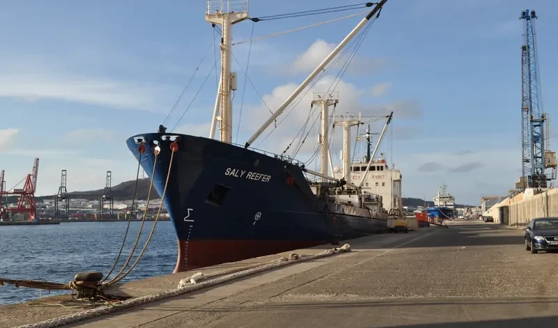 SALY REEFER General Cargo IMO 7813925 photo 4
