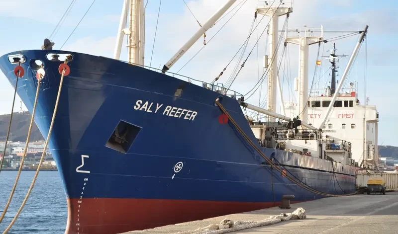 SALY REEFER General Cargo IMO 7813925 photo 5