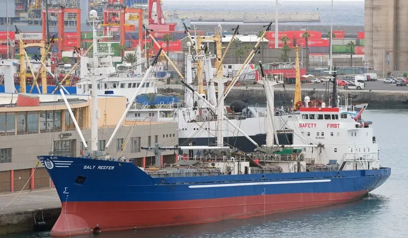SALY REEFER General Cargo IMO 7813925 photo 8