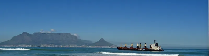 SELI 1 Bulk Carrier IMO 7814149 photo 2