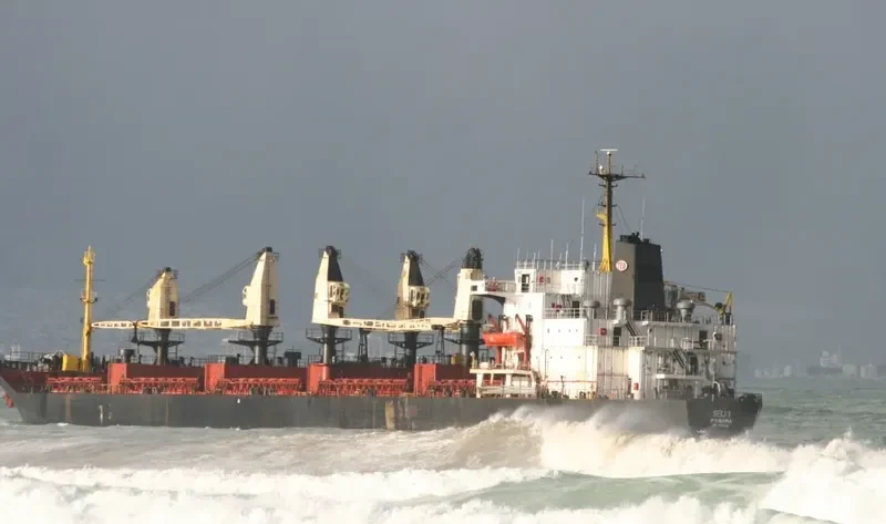 SELI 1 Bulk Carrier IMO 7814149 photo 6