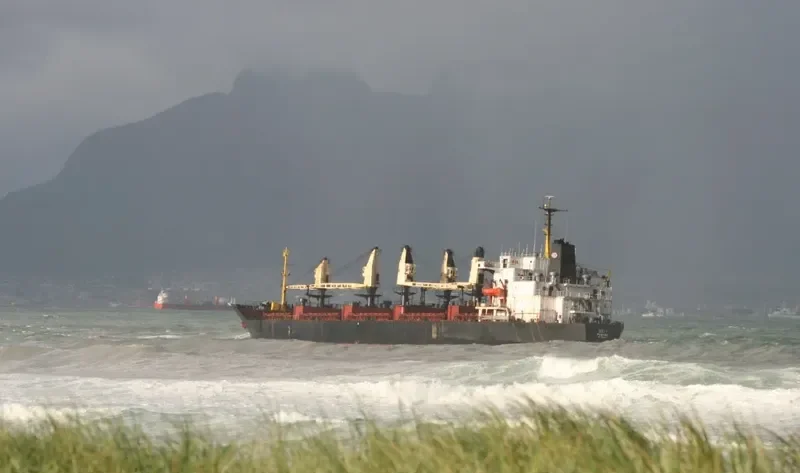 SELI 1 Bulk Carrier IMO 7814149 photo 7