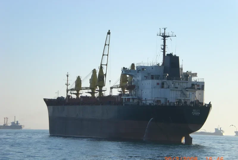 SELI 1 Bulk Carrier IMO 7814149 photo 9