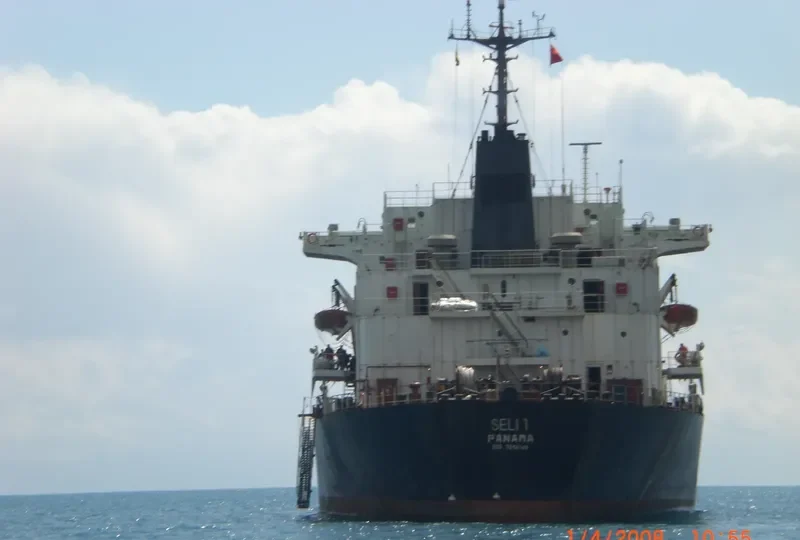 SELI 1 Bulk Carrier IMO 7814149 photo 10