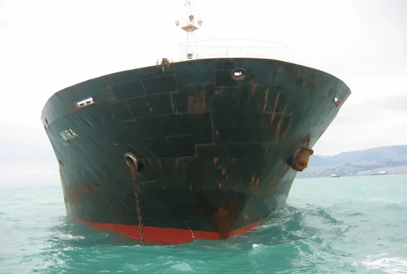 MIRA Bulk Carrier IMO 7814151 photo 2