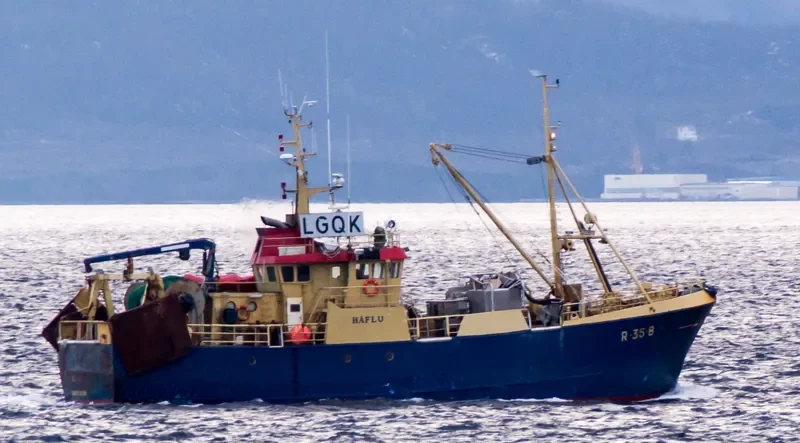 HAFLU General Cargo IMO 7814266 photo 3