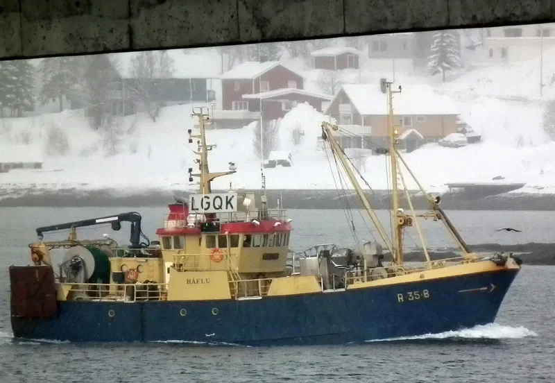HAFLU General Cargo IMO 7814266 photo 8